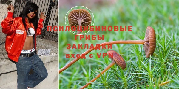 индика Лиски
