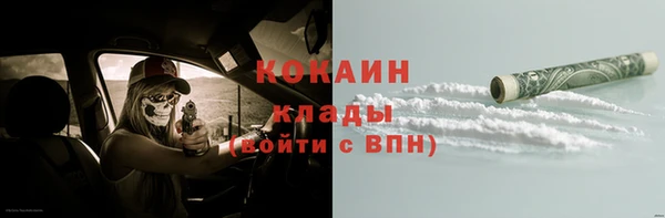 индика Лиски
